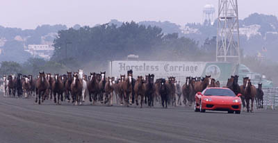 360 modena w horses.jpg (18236 bytes)