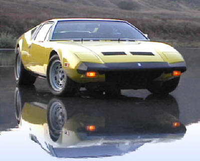Pantera on glass reflection p-curt.jpg (18955 bytes)